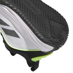Obr�zok (2)